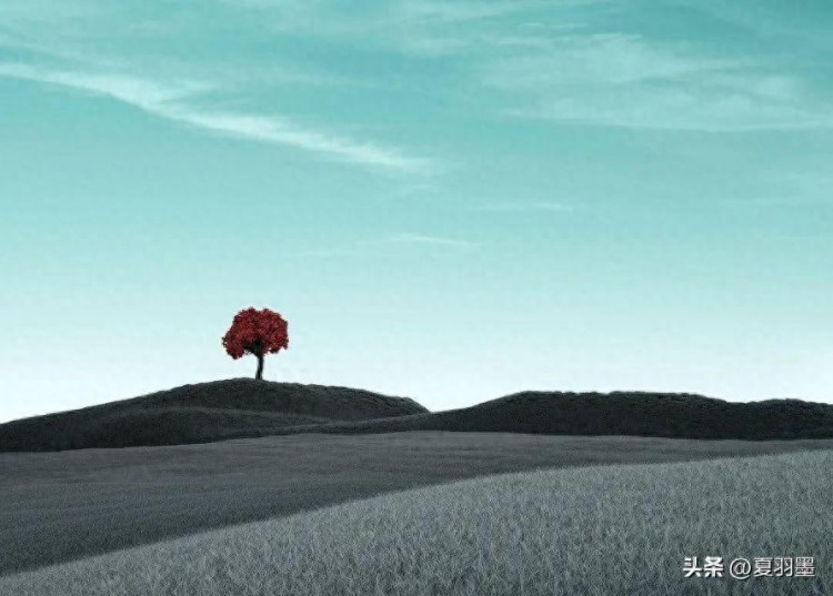 如果你的手机号用了超过十年那么恭喜了